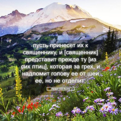 Picture 05 - Левит 5:8 RUSV - пусть принесет их к - Bible Verse Picture