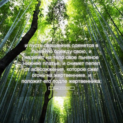 Picture 05 - Левит 6:10 RUSV - и пусть священник оденется - Bible Verse Picture
