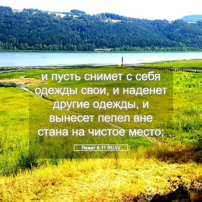 Picture 05 - Левит 6:11 RUSV - и пусть снимет с себя - Bible Verse Picture