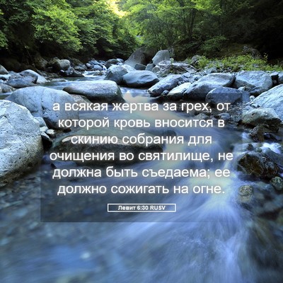 Picture 05 - Левит 6:30 RUSV - а всякая жертва за грех, от - Bible Verse Picture