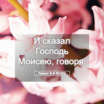 Picture 05 - Левит 6:8 RUSV - И сказал Господь Моисею, - Bible Verse Picture