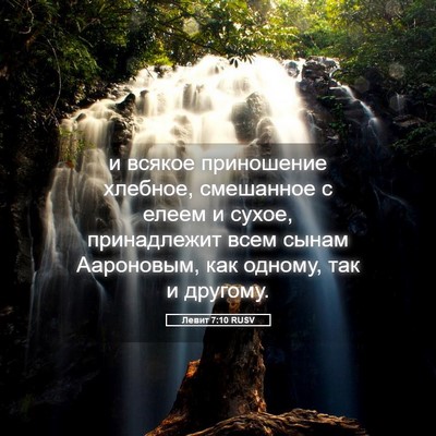 Picture 05 - Левит 7:10 RUSV - и всякое приношение - Bible Verse Picture