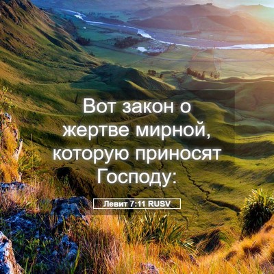 Picture 05 - Левит 7:11 RUSV - Вот закон о жертве мирной, - Bible Verse Picture