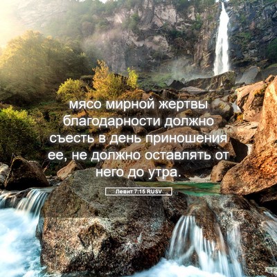 Picture 05 - Левит 7:15 RUSV - мясо мирной жертвы - Bible Verse Picture