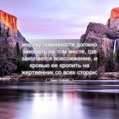 Picture 05 - Левит 7:2 RUSV - жертву повинности должно - Bible Verse Picture