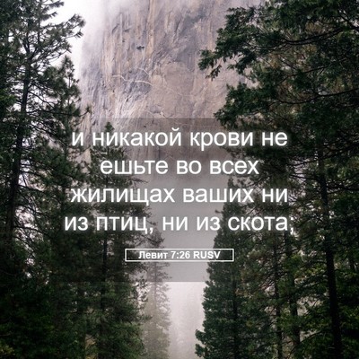 Picture 05 - Левит 7:26 RUSV - и никакой крови не ешьте во - Bible Verse Picture