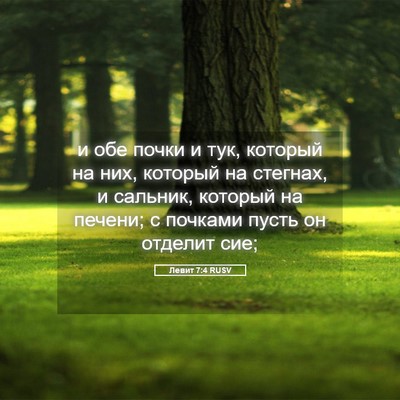 Picture 05 - Левит 7:4 RUSV - и обе почки и тук, который - Bible Verse Picture