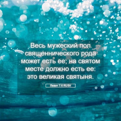 Picture 05 - Левит 7:6 RUSV - Весь мужеский пол - Bible Verse Picture