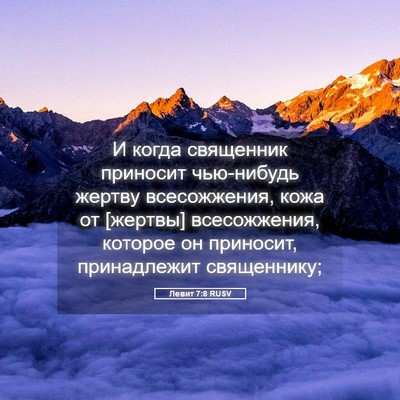 Picture 05 - Левит 7:8 RUSV - И когда священник приносит - Bible Verse Picture