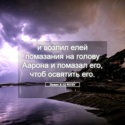 Picture 05 - Левит 8:12 RUSV - и возлил елей помазания на - Bible Verse Picture