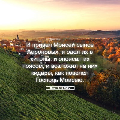 Picture 05 - Левит 8:13 RUSV - И привел Моисей сынов - Bible Verse Picture