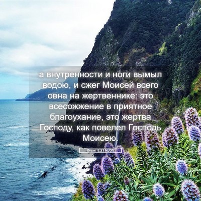 Picture 05 - Левит 8:21 RUSV - а внутренности и ноги - Bible Verse Picture