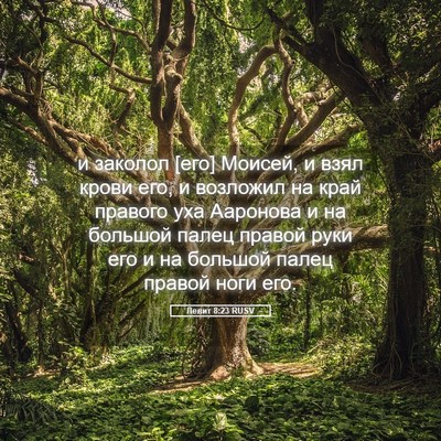 Picture 05 - Левит 8:23 RUSV - и заколол [его] Моисей, и - Bible Verse Picture