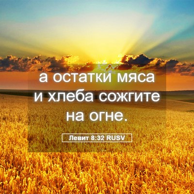 Picture 05 - Левит 8:32 RUSV - а остатки мяса и хлеба - Bible Verse Picture