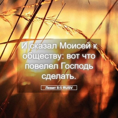 Picture 05 - Левит 8:5 RUSV - И сказал Моисей к обществу: - Bible Verse Picture