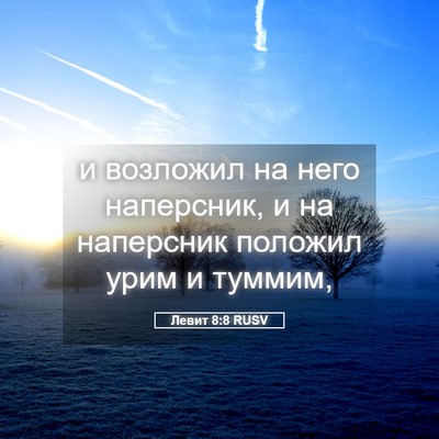 Picture 05 - Левит 8:8 RUSV - и возложил на него - Bible Verse Picture