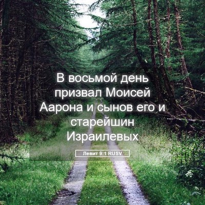 Picture 05 - Левит 9:1 RUSV - В восьмой день призвал - Bible Verse Picture