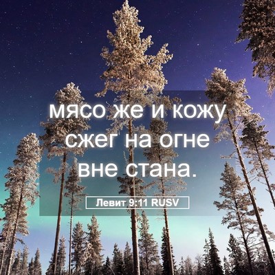 Picture 05 - Левит 9:11 RUSV - мясо же и кожу сжег на огне - Bible Verse Picture