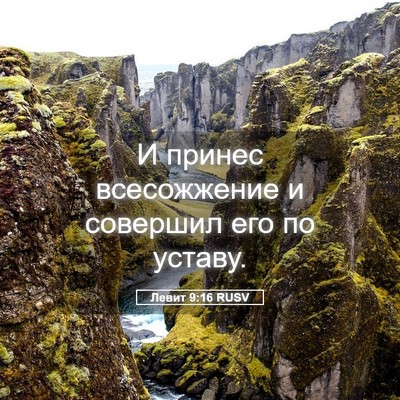 Picture 05 - Левит 9:16 RUSV - И принес всесожжение и - Bible Verse Picture