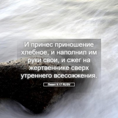 Picture 05 - Левит 9:17 RUSV - И принес приношение - Bible Verse Picture