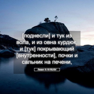 Picture 05 - Левит 9:19 RUSV - [поднесли] и тук из вола, и - Bible Verse Picture