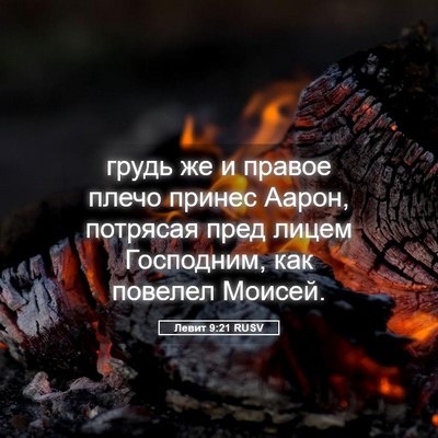 Picture 05 - Левит 9:21 RUSV - грудь же и правое плечо - Bible Verse Picture