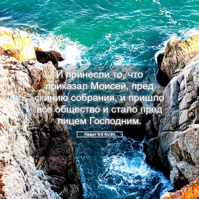 Picture 05 - Левит 9:5 RUSV - И принесли то, что приказал - Bible Verse Picture