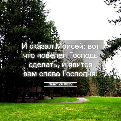 Picture 05 - Левит 9:6 RUSV - И сказал Моисей: вот что - Bible Verse Picture