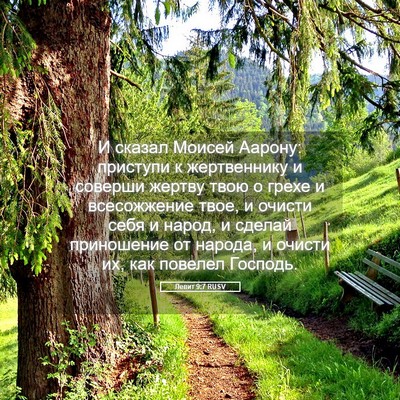 Picture 05 - Левит 9:7 RUSV - И сказал Моисей Аарону: - Bible Verse Picture