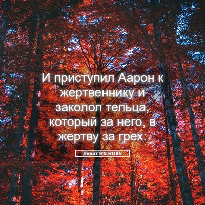 Picture 05 - Левит 9:8 RUSV - И приступил Аарон к - Bible Verse Picture
