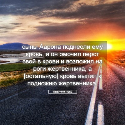 Picture 05 - Левит 9:9 RUSV - сыны Аарона поднесли ему - Bible Verse Picture