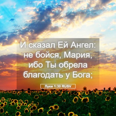 Picture 05 - Луки 1:30 RUSV - И сказал Ей Ангел: не бойся, - Bible Verse Picture