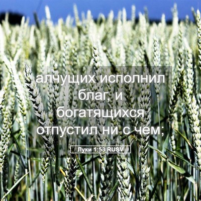 Picture 05 - Луки 1:53 RUSV - алчущих исполнил благ, и - Bible Verse Picture