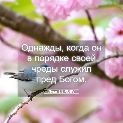 Picture 05 - Луки 1:8 RUSV - Однажды, когда он в порядке - Bible Verse Picture
