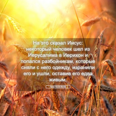 Picture 05 - Луки 10:30 RUSV - На это сказал Иисус: - Bible Verse Picture