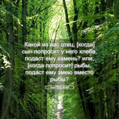 Picture 05 - Луки 11:11 RUSV - Какой из вас отец, [когда] - Bible Verse Picture