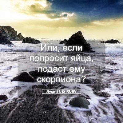 Picture 05 - Луки 11:12 RUSV - Или, если попросит яйца, - Bible Verse Picture