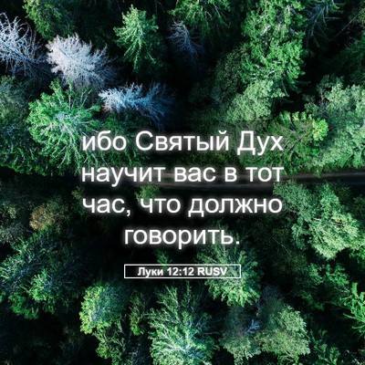 Picture 05 - Луки 12:12 RUSV - ибо Святый Дух научит вас в - Bible Verse Picture