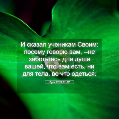Picture 05 - Луки 12:22 RUSV - И сказал ученикам Своим: - Bible Verse Picture