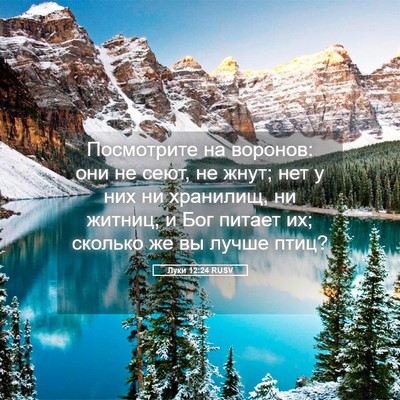 Picture 05 - Луки 12:24 RUSV - Посмотрите на воронов: они - Bible Verse Picture