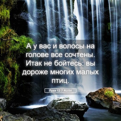 Picture 05 - Луки 12:7 RUSV - А у вас и волосы на голове - Bible Verse Picture