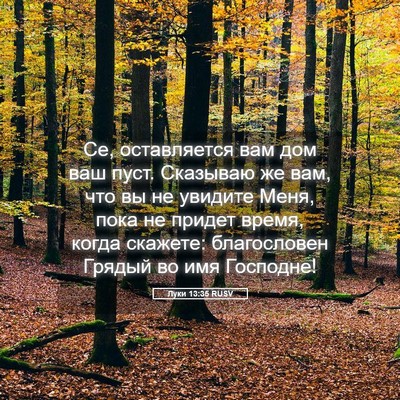 Picture 05 - Луки 13:35 RUSV - Се, оставляется вам дом ваш - Bible Verse Picture