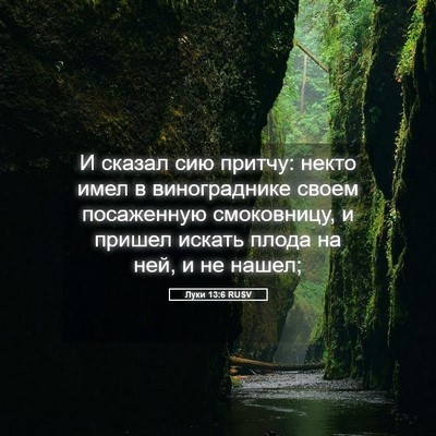 Picture 05 - Луки 13:6 RUSV - И сказал сию притчу: некто - Bible Verse Picture