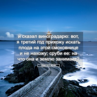 Picture 05 - Луки 13:7 RUSV - и сказал виноградарю: вот, - Bible Verse Picture