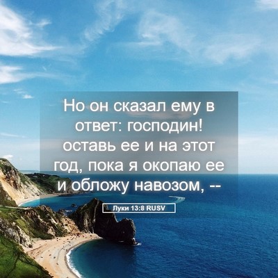 Picture 05 - Луки 13:8 RUSV - Но он сказал ему в ответ: - Bible Verse Picture