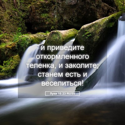 Picture 05 - Луки 15:23 RUSV - и приведите откормленного - Bible Verse Picture