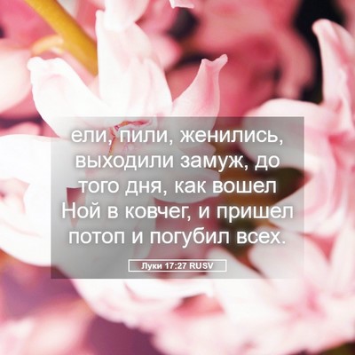 Picture 05 - Луки 17:27 RUSV - ели, пили, женились, - Bible Verse Picture