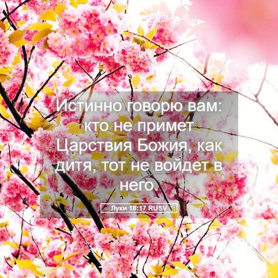 Picture 05 - Луки 18:17 RUSV - Истинно говорю вам: кто не - Bible Verse Picture