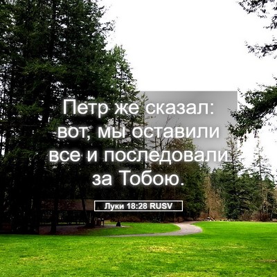 Picture 05 - Луки 18:28 RUSV - Петр же сказал: вот, мы - Bible Verse Picture