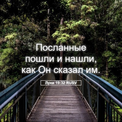 Picture 05 - Луки 19:32 RUSV - Посланные пошли и нашли, - Bible Verse Picture